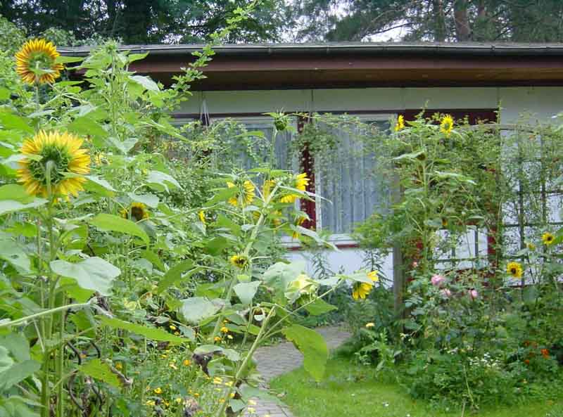 Ansicht Bungalow